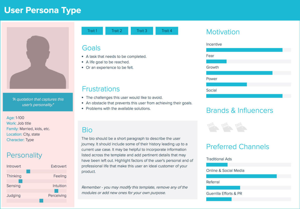 User Persona type example