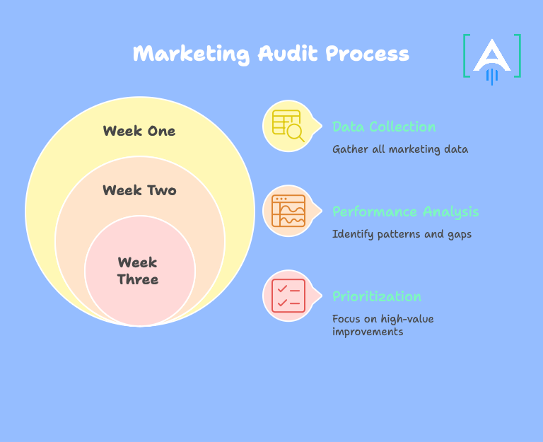 marketing audit process